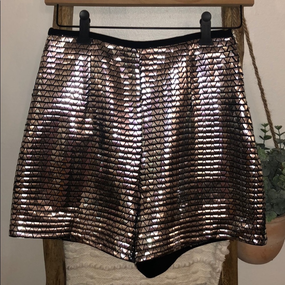 Brand New with Tag Metallic Shorts from Zara